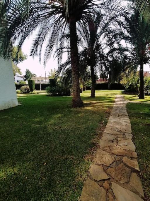 Studio Paris Lägenhet Estepona Exteriör bild